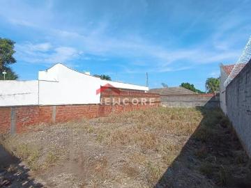 Lote em Rua dos Girassóis Jardim Panambi Santa Bárbara D&apos Oeste/SP