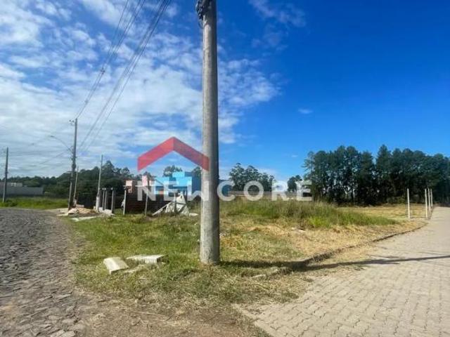 Lote em Rua Ervino Lehnen 15 de Junho Parobé/RS