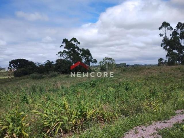 Lote em Rua Hermenegildo Soares Machado Roseira de São Sebastião São José dos Pinhais/PR