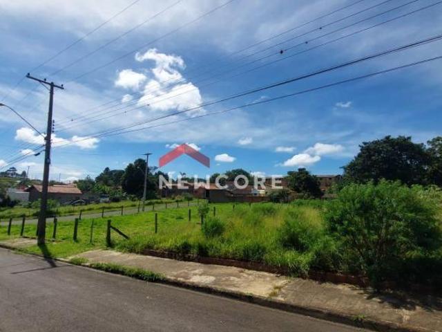 Lote em Rua João Calonego Jardim Nossa Senhora das Graças Rubião Junior Botucatu/SP