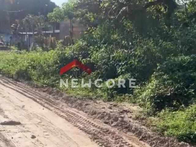Lote em Rua João Ribeiro da Silva Filho Jardim Coronel Itanhaém/SP