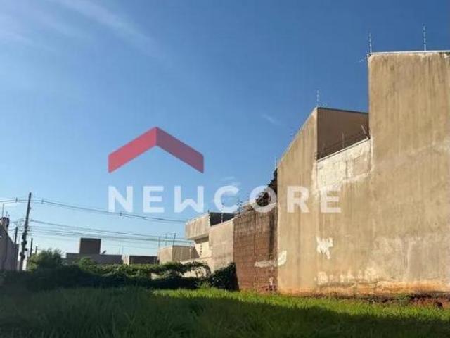 Lote em Rua José Claro Salgado Parque Residencial J. Macedo São José do Rio Preto/SP