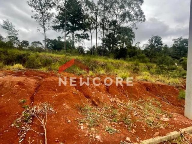 Lote em Rua Jurerê Emancipação Parobé/RS