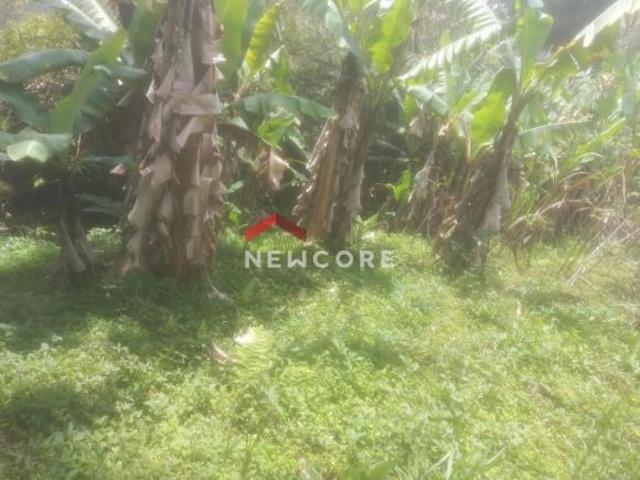Lote em Rua Kuniharu Kawamoto Flórida Embu Guaçu/SP
