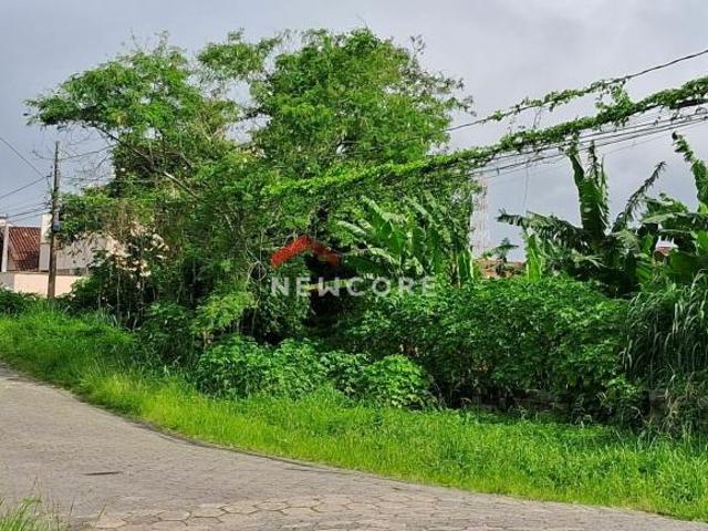 Lote em Rua Pernambuco Stella Mares Peruíbe/SP