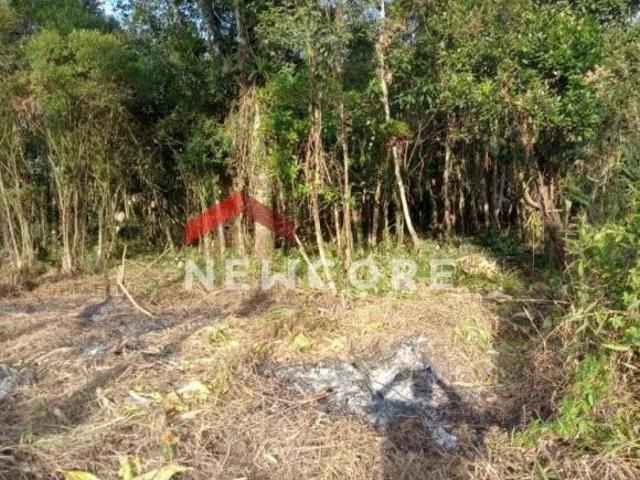 Lote em Rua Plinio Antônio Branco Jardim Aguapeu Itanhaém/SP