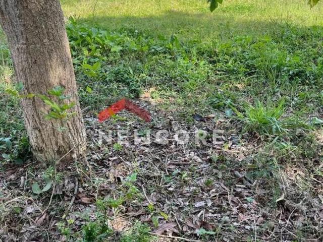 Lote em Rua Raul Soares Jardim Sampaio Itapecerica da Serra/SP
