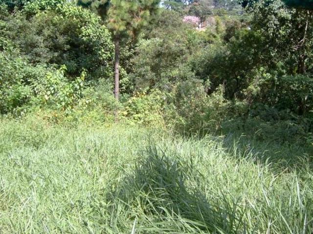 Lote em Rua Roma Granja Viana Cotia/SP