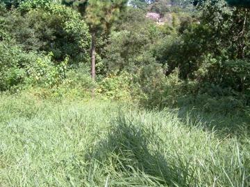 Lote em Rua Roma Granja Viana Cotia/SP