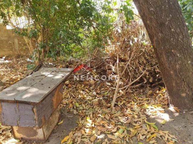 Lote em Rua São João da Vereda Santa Branca Belo Horizonte/MG