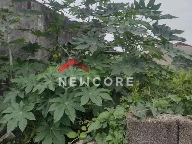 Lote em Rua São Miguel Agenor de Campos Mongaguá/SP