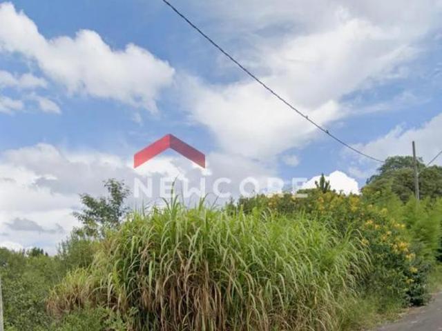 Lote em Rua São Vicente de Paulo Centro Araucária/PR