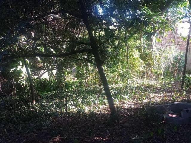 Lote em Rua Santo Antônio São João Batista Venda Nova Belo Horizonte/MG