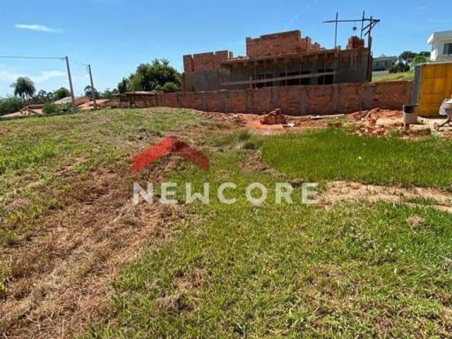 Lote em Raposo Tavares Km 266 Terras de Santa Cristina Paranapanema/SP