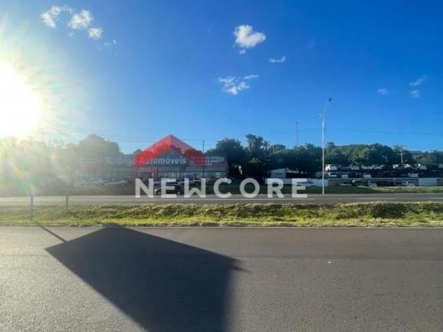 Lote em Rs 239 Alexandria Parobé/RS