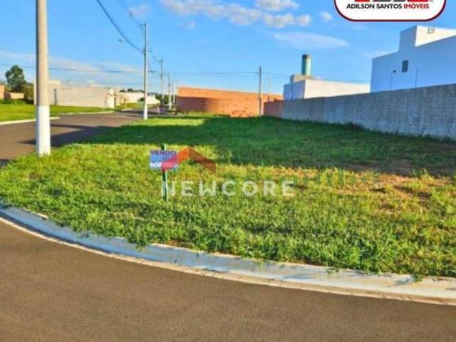 Lote em Santa Cruz da Conceição Centro Santa Cruz da Conceição/SP