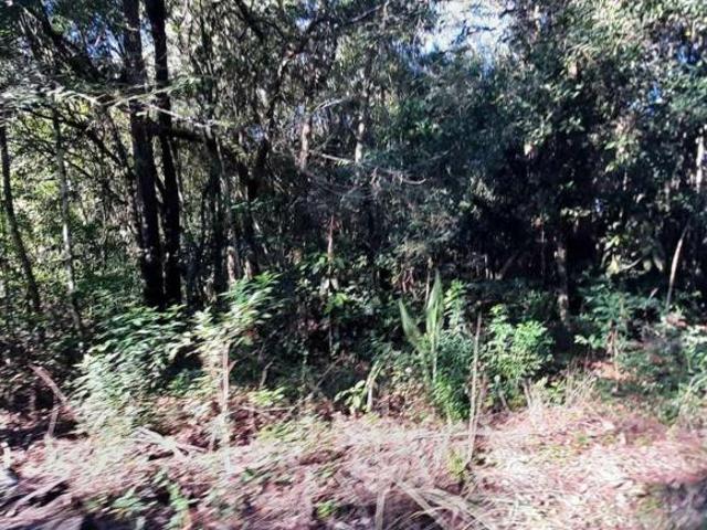 Lote em Travessa Sapiranga Recanto Corcunda Gravataí/RS