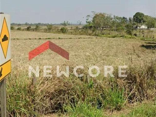 Lote em Tremembé Excelente Área File Para Empreendorismo Imobiliário Aterrado Tremembé/SP