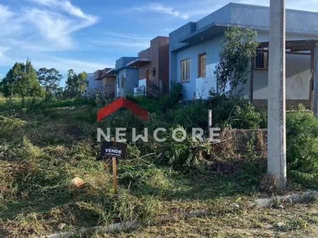 Lote em 17 de Fevereiro Fazenda Pires Parobé/RS