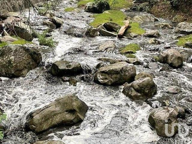 LOTE EN FRACCIONAMIENTO CAMPESTRE EN OMITLAN