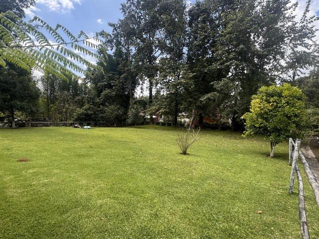 LOTE EN LLANO GRANDE, XICOTEPEC