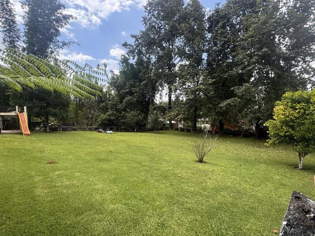 LOTE EN LLANO GRANDE, XICOTEPEC
