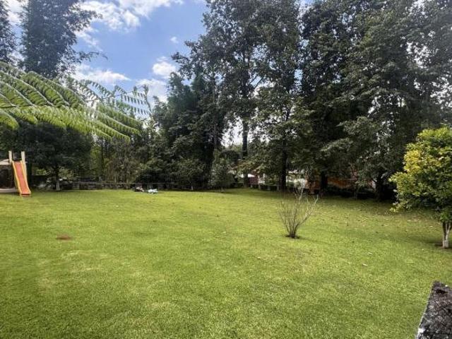 LOTE EN LLANO GRANDE, XICOTEPEC