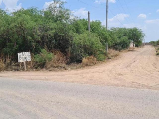 LOTE EN LOS GOMEZ
