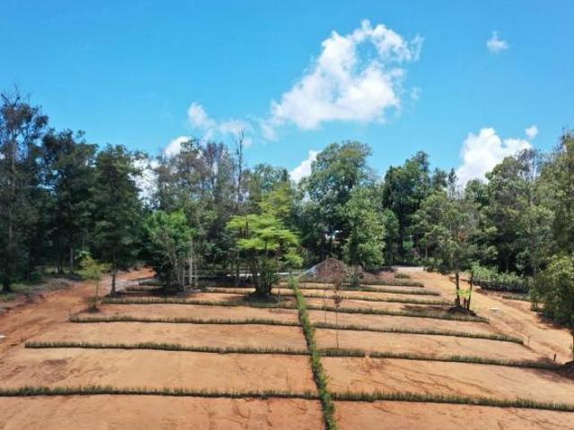 LOTE EN PASEOS DE SANTA FE, SAN ISIDRO, XICOTEPEC