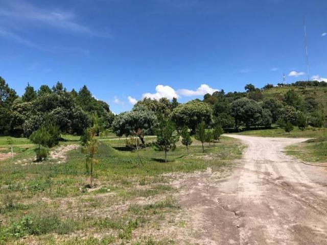 Lote en Preventa en Huamantla, Estado de Tlaxcala 4
