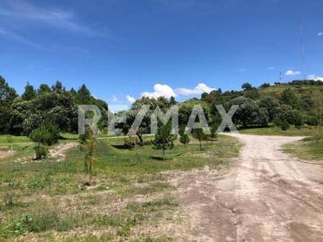 Lote en Preventa en Huamantla, Estado de Tlaxcala 4