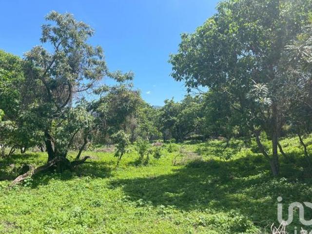 Lote en Tepoztlán a borde de Carretera, en Amatlán de Quetzalcóatl, Tepoztlán