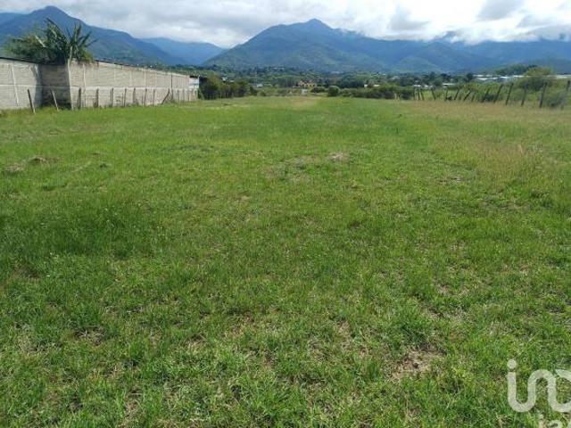 LOTE EN VENTA A UNA CUADRA DEL FRACC SANTO DOMINGO BARRIO BAJO, ETLA