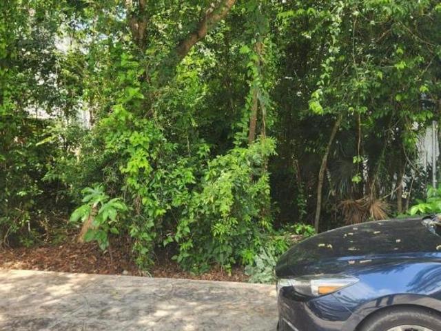 LOTE EN VENTA DE 385M2 EN RESIDENCIAL SELVAMAR, PLAYA DEL CARMEN