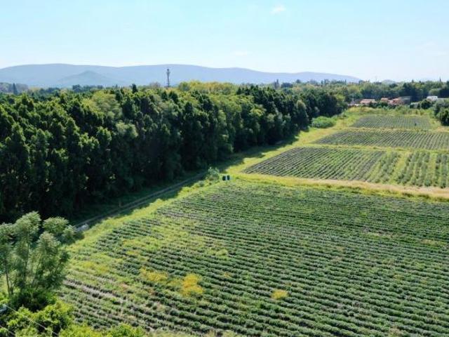 ¡Lote en venta de 513 m² ubicado en la Quinta Arcángeles, Atlixco!