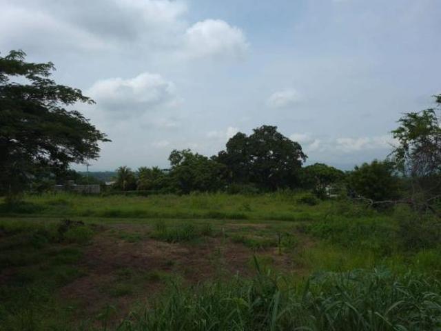 LOTE EN VENTA EN MONTES DE COMALA, COMALA, COLIMA, MEXICO