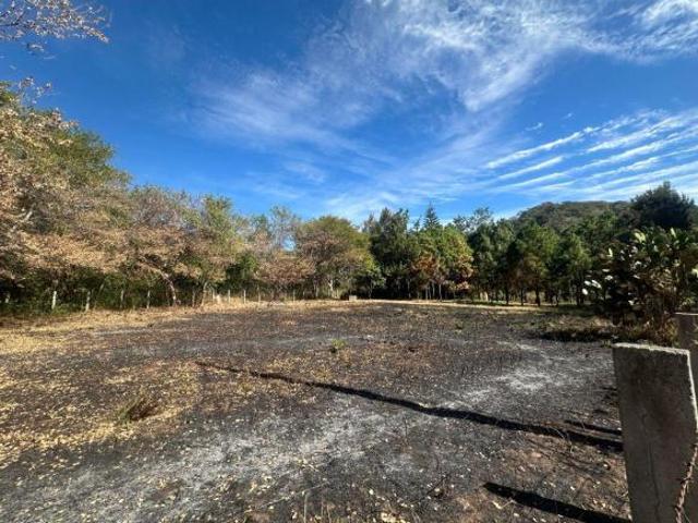 LOTE RUSTICO EN VENTA EN EL REMATE, COMALA, COLIMA, MEXICO