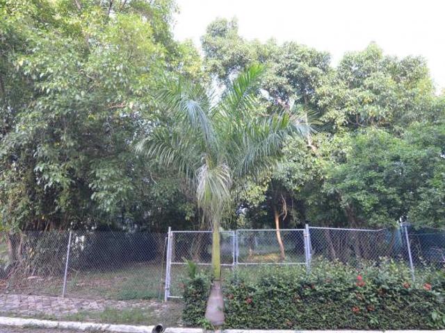 Venta Lote Residencial Villa 2 Nuevo Vallarta a 1.5 km de La Playa | For Sale Residential Lot at Gat