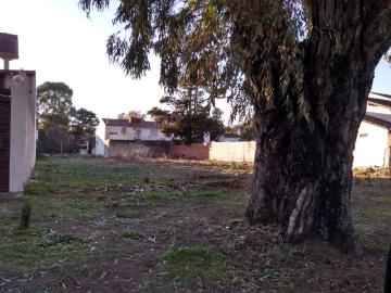 San Luis, Nueva Córdoba, Plaza España, Nueva Córdoba