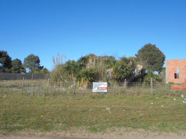 Departamento EN ALQUILER en Inmomap