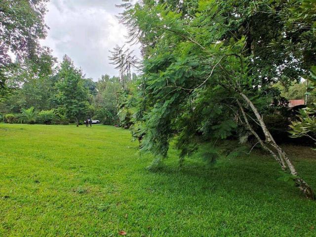 LOTE EN VENTA EN LLANO GRANDE, XICOTEPEC