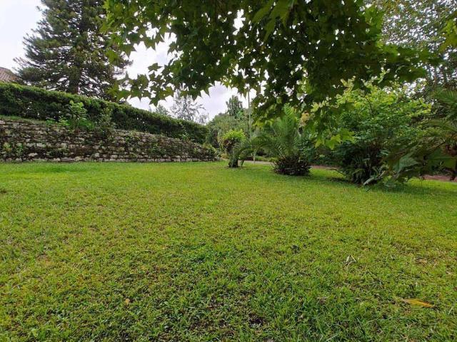 LOTE EN VENTA EN LLANO GRANDE, XICOTEPEC