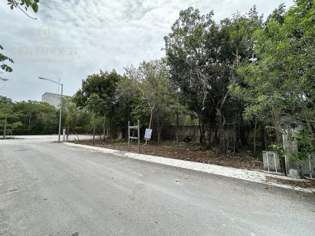 Lote en Venta en Playa del Carmen con uso de Suelo Mixto Comercial