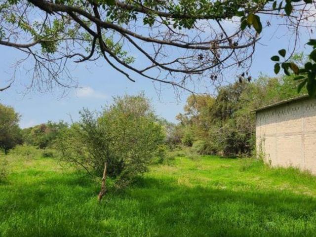 LOTE EN VENTA EN SAN NICOLAS DE IBARRA, EN LOS SABINOS, CHAPALA