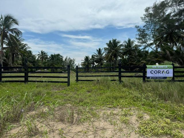 TERRENO EN VENTA FRENTE A PLAYA EN TUXPAN, VERACRUZ BARRA GALINDO