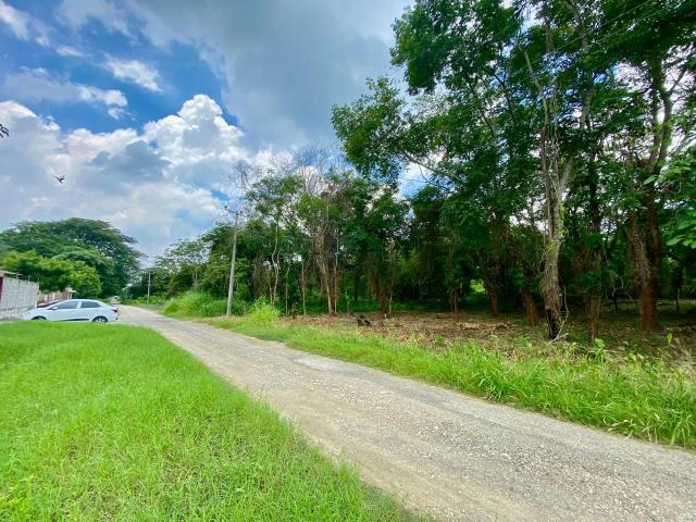 LOTE EN VENTA QUINTA DORANTES