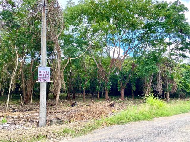 LOTE EN VENTA QUINTA DORANTES
