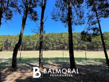 Olazábal, Lomas De Zamora, Lomas de Zamora, Partido de Lomas de Zamora, Provincia de Buenos Aires