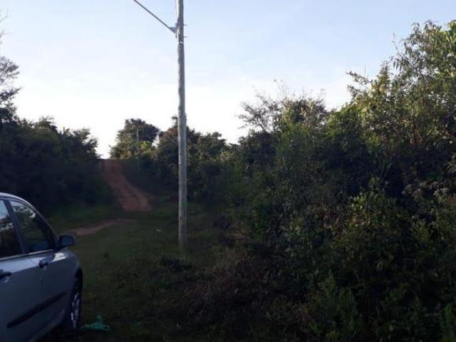 Lote Esmeraldas Jardim das Oliveiras