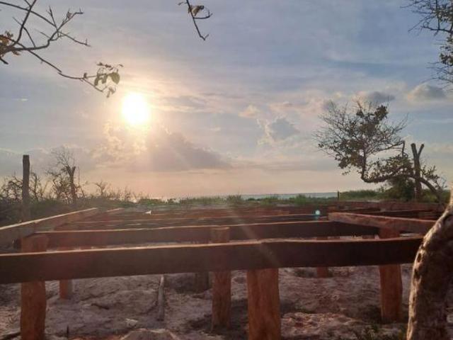 Lote frente al mar en Celestún! Invierte hoy en tu pedazo de playa